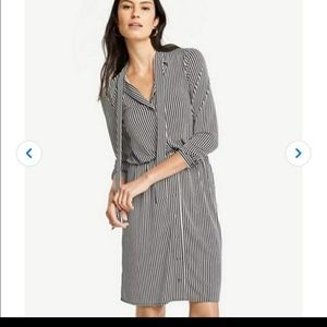 $129 NWT Ann Taylor Pinstripe Neck Tie Shirt Dress Stripe Sz XXSP 2XSP